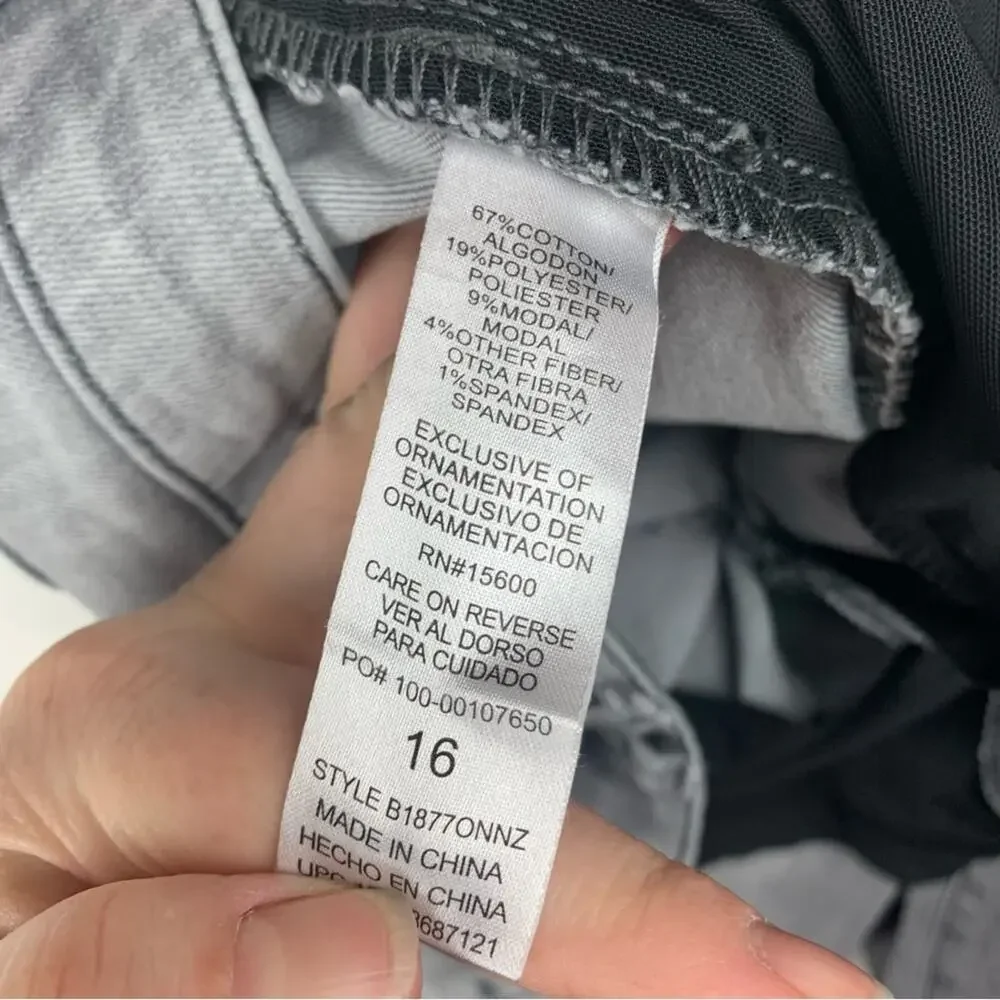Democracy absolution gray